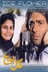 آلما اسکویی